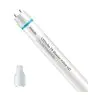 Philips Tube LED T8 MASTER Value (EM/Direct 230V) Ultra Output 15.5W 2500lm - 840 Blanc Froid | 120cm - Équivalent 36W