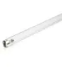 Philips T8 UV - C 75W - Ultra-violet | 120cm
