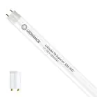 Ledvance Tube LED T8 Superior (EM/Direct 230V) High Output 17.7W 3100lm - 840 Blanc Froid | 150cm - Équivalent 58W