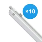 Lot 10x Philips Réglette LED Étanche CoreLine WT120C 42.9W 6000lm - 840 Blanc Froid | 150cm