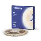 Noxion Naga Rubans LED IP65 SMD2835/240 24V 16W/m 965 5M/10mm/25mm