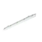 Philips Réglette LED Étanche Ledinaire WT065C 23/42W 2900/4800lm - 840 Blanc Froid | 120cm - Câblage Traversant